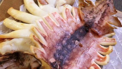 🦑 놓치면 후회! 할복오징어 5kg 특가 후기 & 활용법 꿀팁 😋