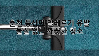 춘천 동산면 알레르기 유발 물질 없는 깨끗한 청소