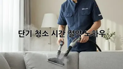 단기 청소, 시간 절약 노하우!