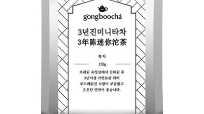 보이차 입문 성공! 닥터루트 미니보이 솔직 후기🍵✨