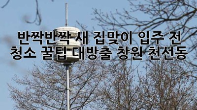 ✨ 반짝반짝 새 집맞이! 입주 전 청소 꿀팁 대방출 (창원 천선동) 🏡